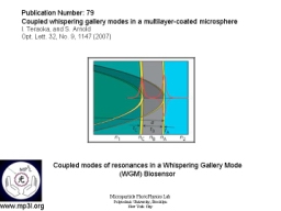 Whispering Gallery Mode Biosensor 011.JPG